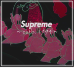 SUPREME ツ