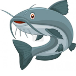 ct fishTeam