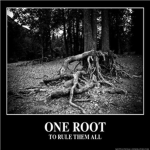 DAH ROOTS