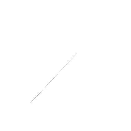 long train track