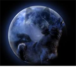 Hunting Outstanding  Wolf League (H.O.W.L)