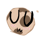 Creamy milky cookie