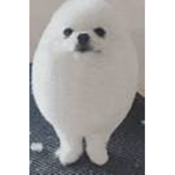 Egg Dog Runner!