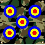 the army fortress team