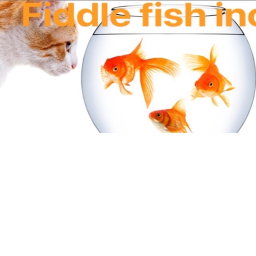 fiddle fish inc hangout