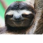 #SlothNation