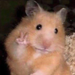 The DENIS PLEASE PLAY THIS GAME obby