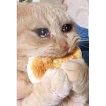 Dont steal my cookies UwU