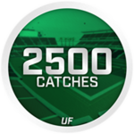 Hall of Fame WR