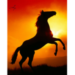 Summer Side Riding School