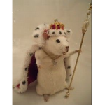The Rat Army From The Den