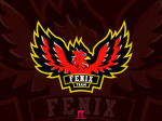 Fenix Volleyball Team