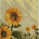 • SUNFLOWER apparel •