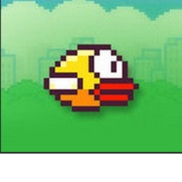 Super Bird
