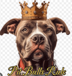 Pit Bulls Rule
