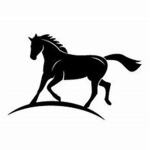 Continental Horizon Stables