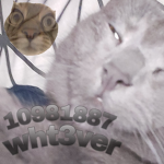 wht3ver