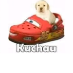 azwxkuk :)