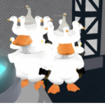Ducky’s Clothing’s Group