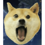 Doge Community Club