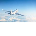 Royal Airlines of build a boat for treasure