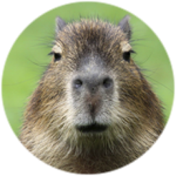 Survive the Capybara
