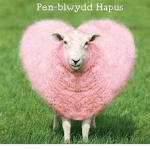 SheepIsh Da shy family! C;