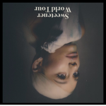 ari grande fans