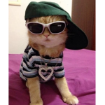 Faithannah’s Fan Group