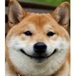 Dogee!