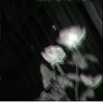 кσ∂