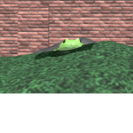 frogs_thebest
