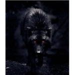 The Black Wolfs.
