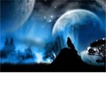TheWolvez Co.