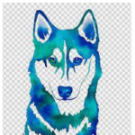 Element huskies