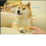 #DOGES 4 life