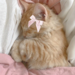 pwoisonous