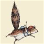 skydiving squirrel