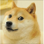 D o g s
