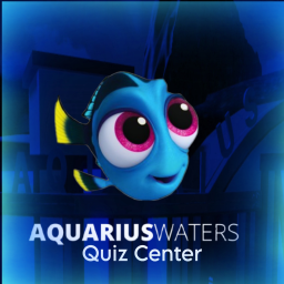 Aquarius Quiz Center