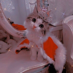 ||*+Minnie’s Kitty Tribe+*||