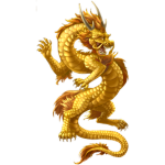 The Chinese Dragons