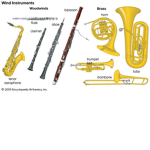 Brass and Woodwind instrument Fan Club