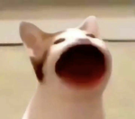 앙야미