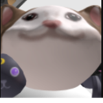 StillChillCati