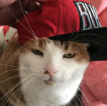 MAX회사