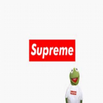 Supreme Hype Beast
