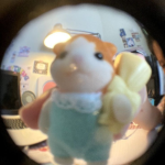 Bear dis