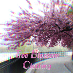Tree Blossom Clothing