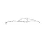NF - No Fear Car Club